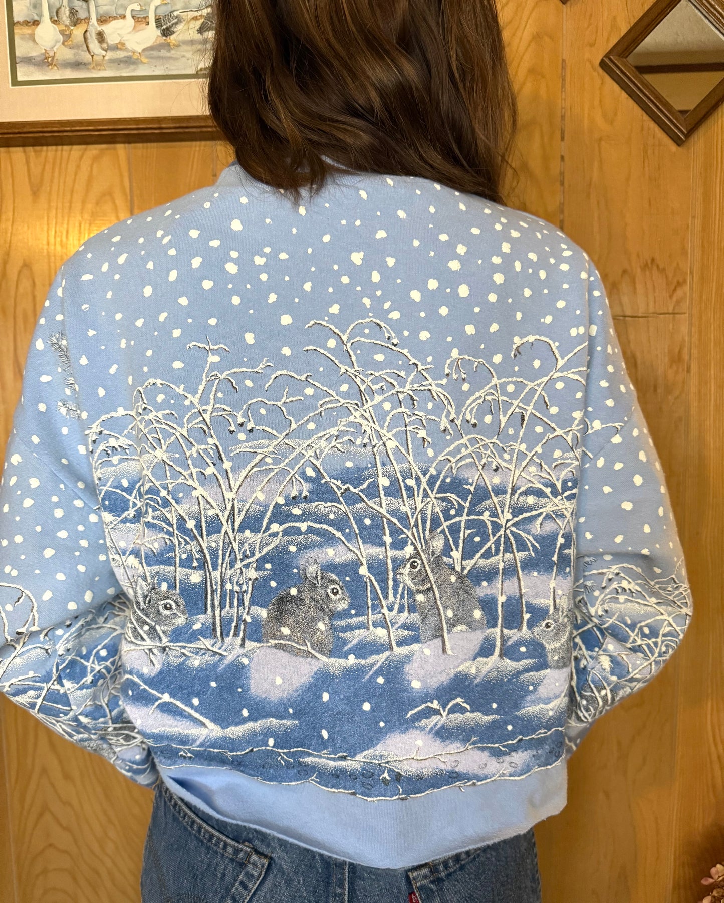 (XS-M) Vtg cropped winter wonderland crewneck
