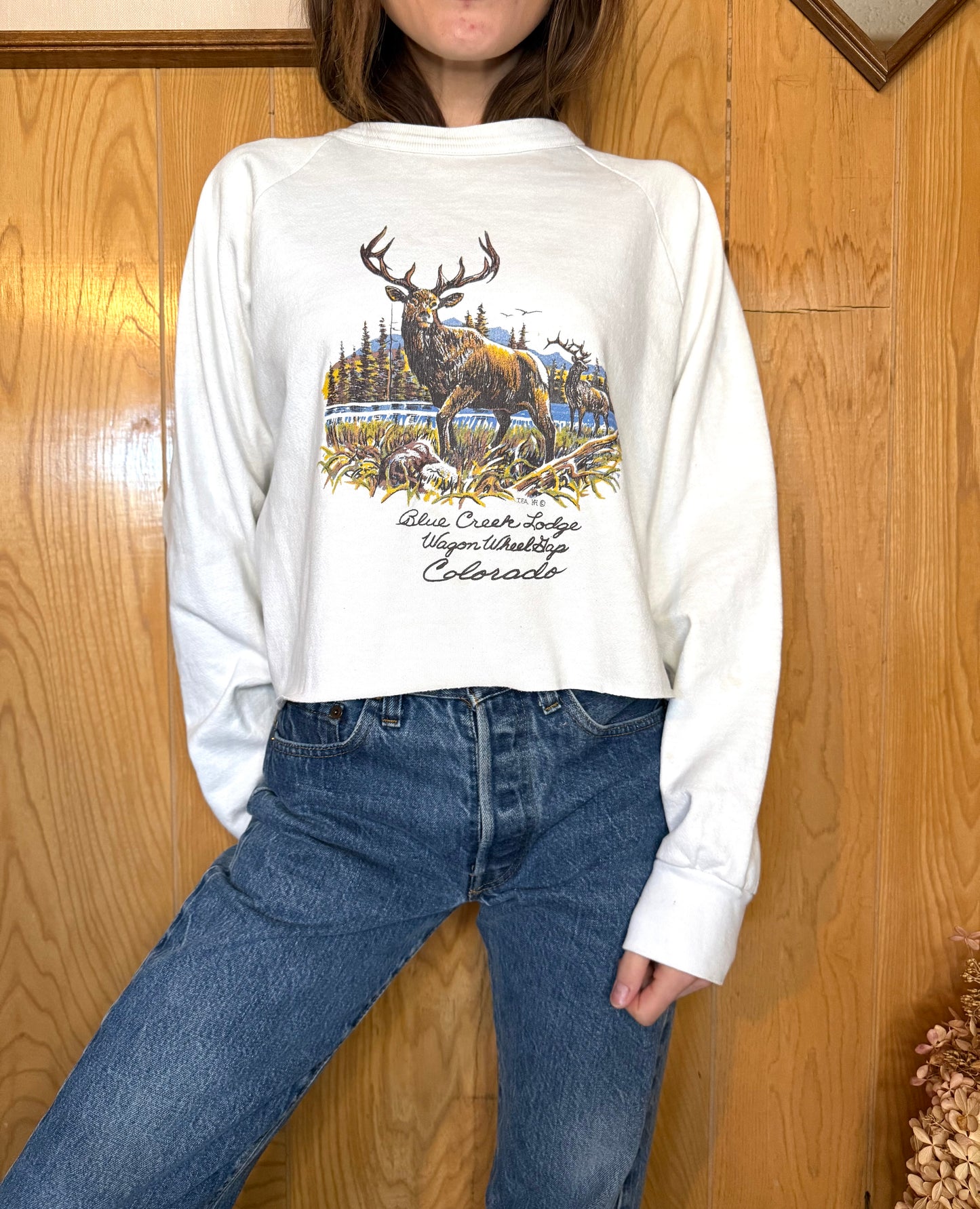 (S-L) Vtg cropped deer crewneck