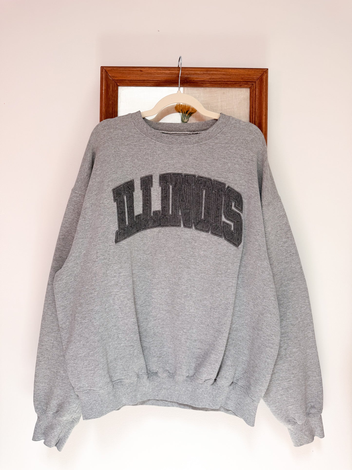 (XL) Vtg Illinois crewneck