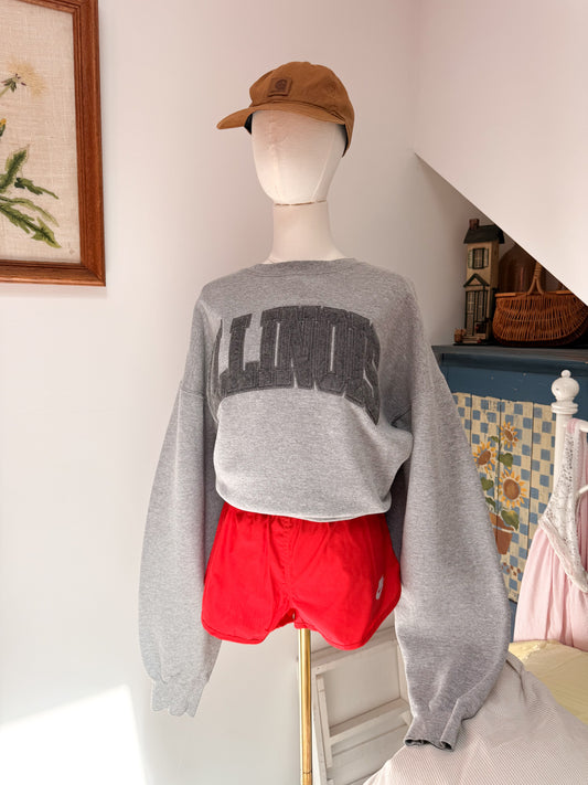 (XL) Vtg Illinois crewneck
