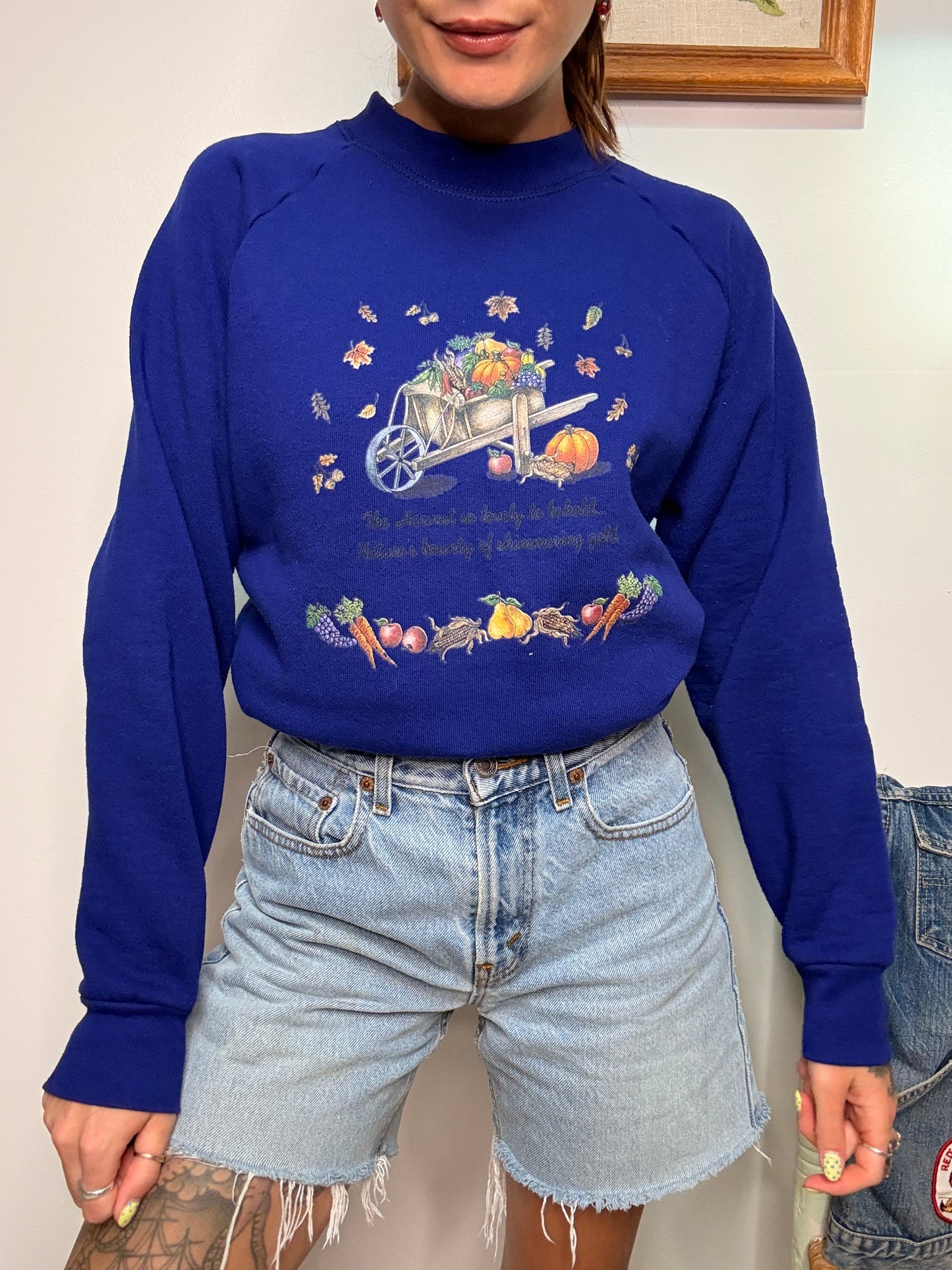 (M) Vtg harvest crewneck