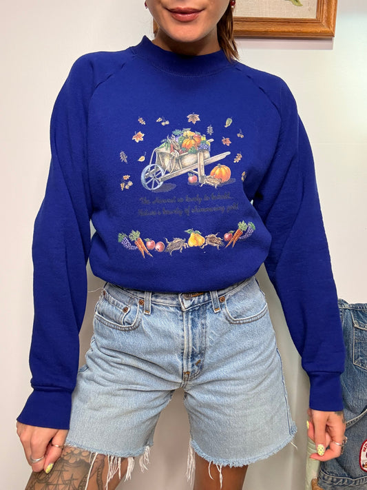 (M) Vtg harvest crewneck