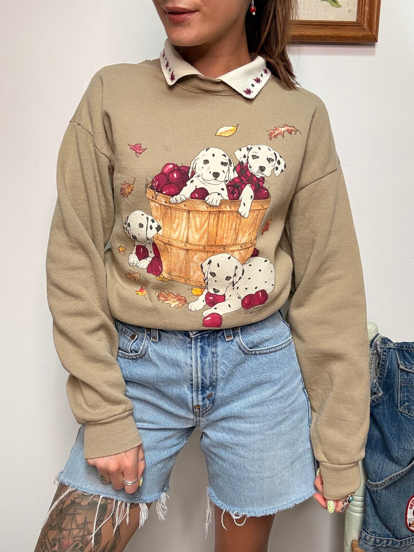 (L) Vtg fall puppy crewneck